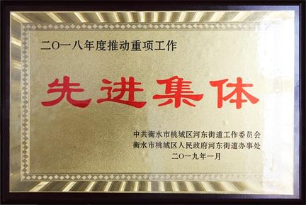 推动重项工作先进集体