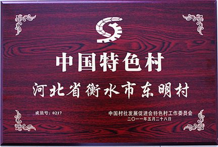 中国特色村