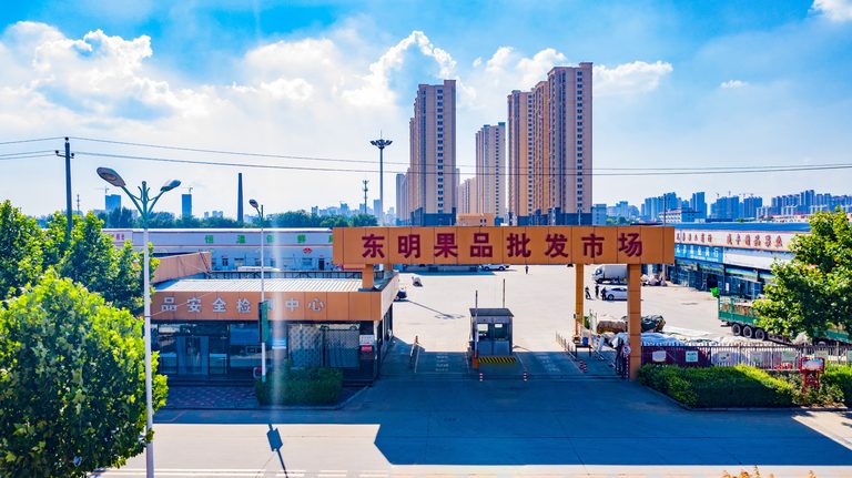 衡水果品市场